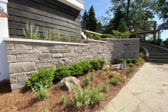 gallery_0000_IMG_5645