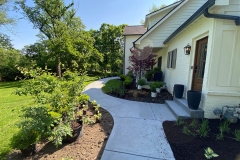 gallery_0008_IMG_5567