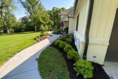 gallery_0009_IMG_5564