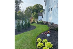 gallery_0025_IMG_3127