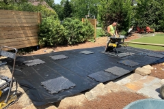 gallery_0034_IMG_2833