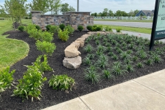 gallery_0039_IMG_2675