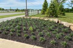 gallery_0040_IMG_2674