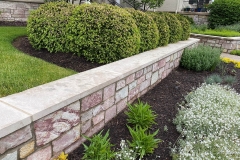 gallery_0041_IMG_2542