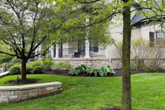 gallery_0042_IMG_2532