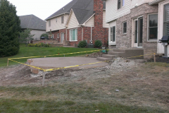 robins_0000s_0000s_0006_IMAG0627