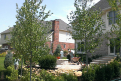 robins_0000s_0001s_0000_IMAG0633